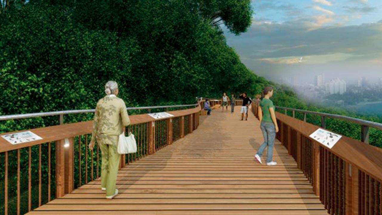 ‘At least 80 per cent  of the work for South Mumbai forest walk is done’