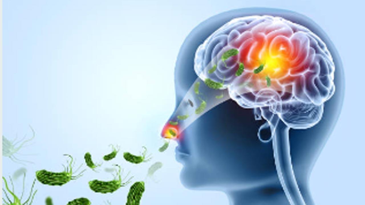 ‘Brain-eating amoeba infection is misdiagnosed, leading to under-reporting'