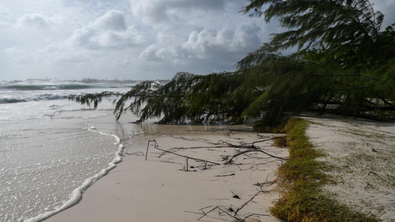 T20 World Cup 2024: When will Team India return from hurricane-hit Barbados? Details inside