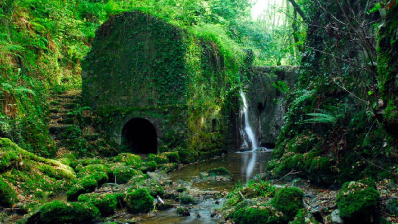 UNESCO designates 11 new biosphere reserves in 11 countries: Find details here