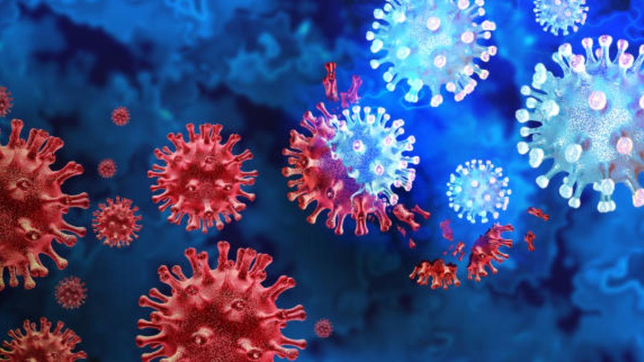 Four new human cases of bird flu found in US
