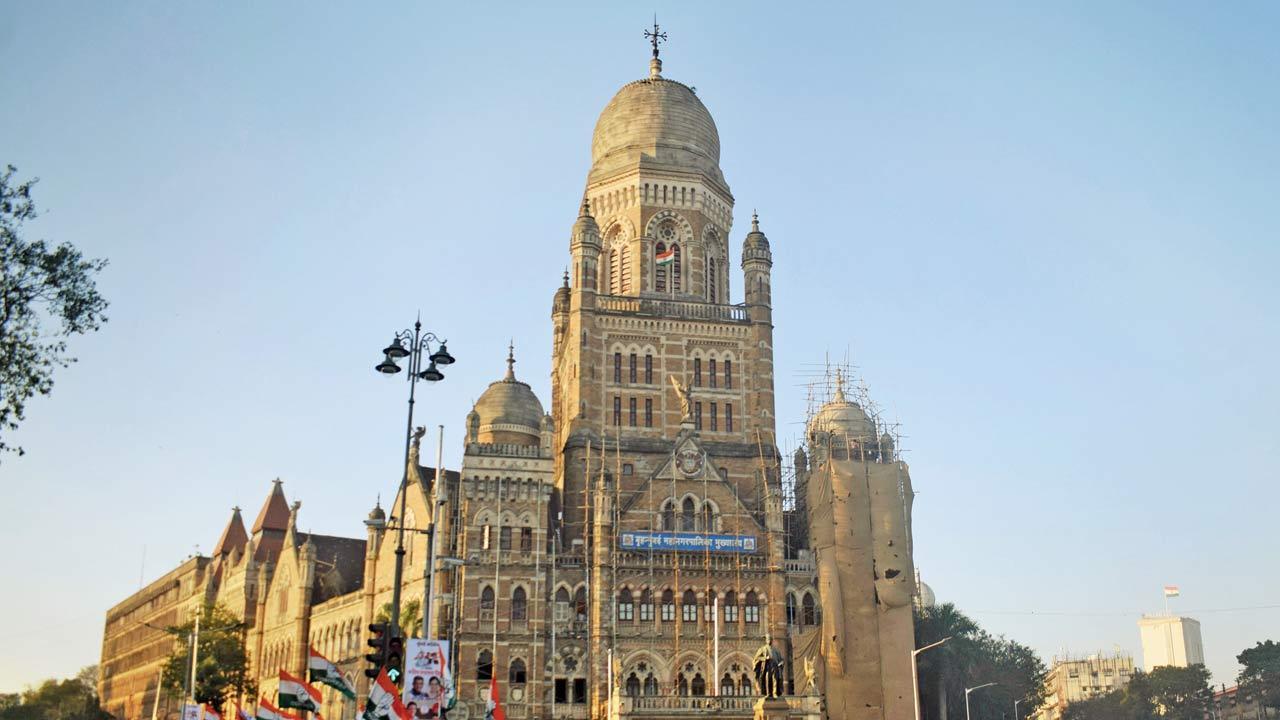 Mumbai: BMC to transfer Rs 500 crore to MMRDA in phases