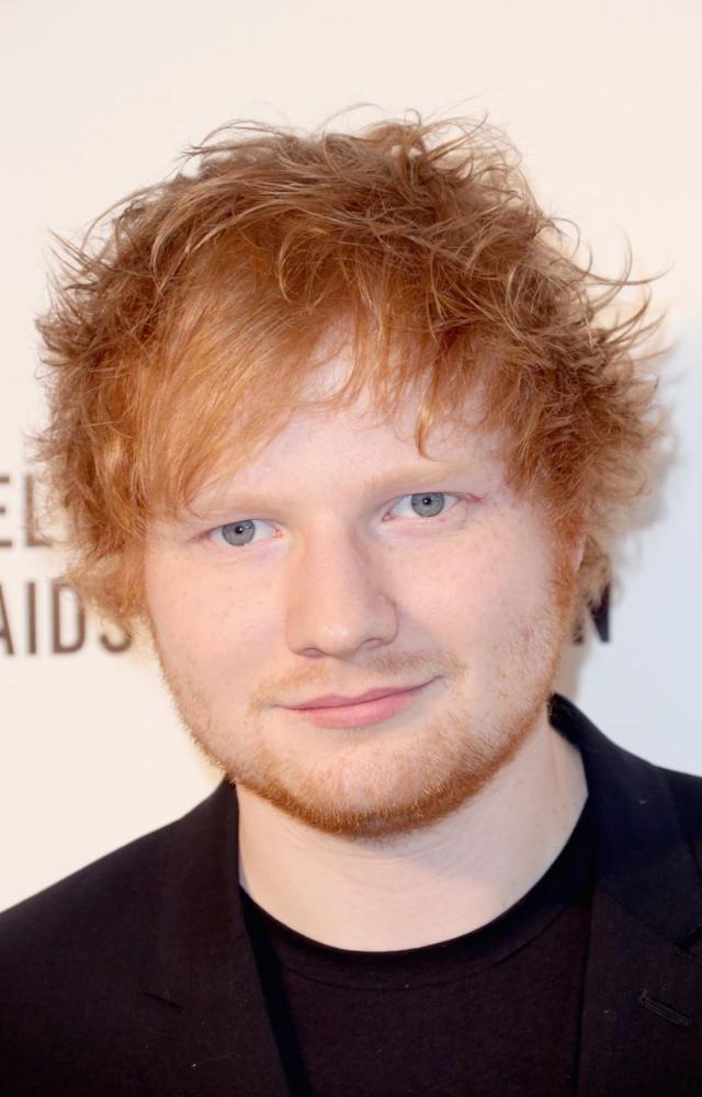 Popular singer-songwriter Ed Sheeran has been seen enjoying the thrilling world of F1. His appearances at the races highlight the sport`s appeal.
