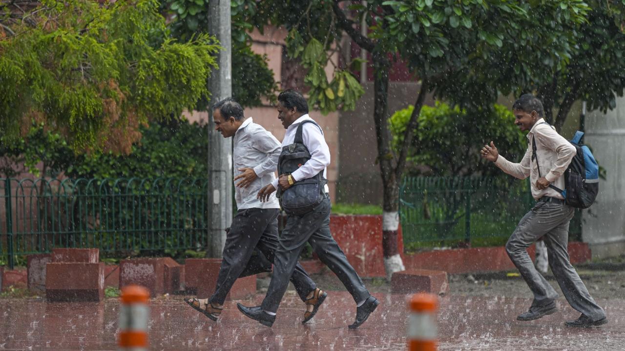 Police said they received 21 calls regarding traffic issues, two for tree falling -- at Vasant Kunj and Model Town -- and two regarding waterlogging. Subsequently, the water was pumped out of those areas, they said