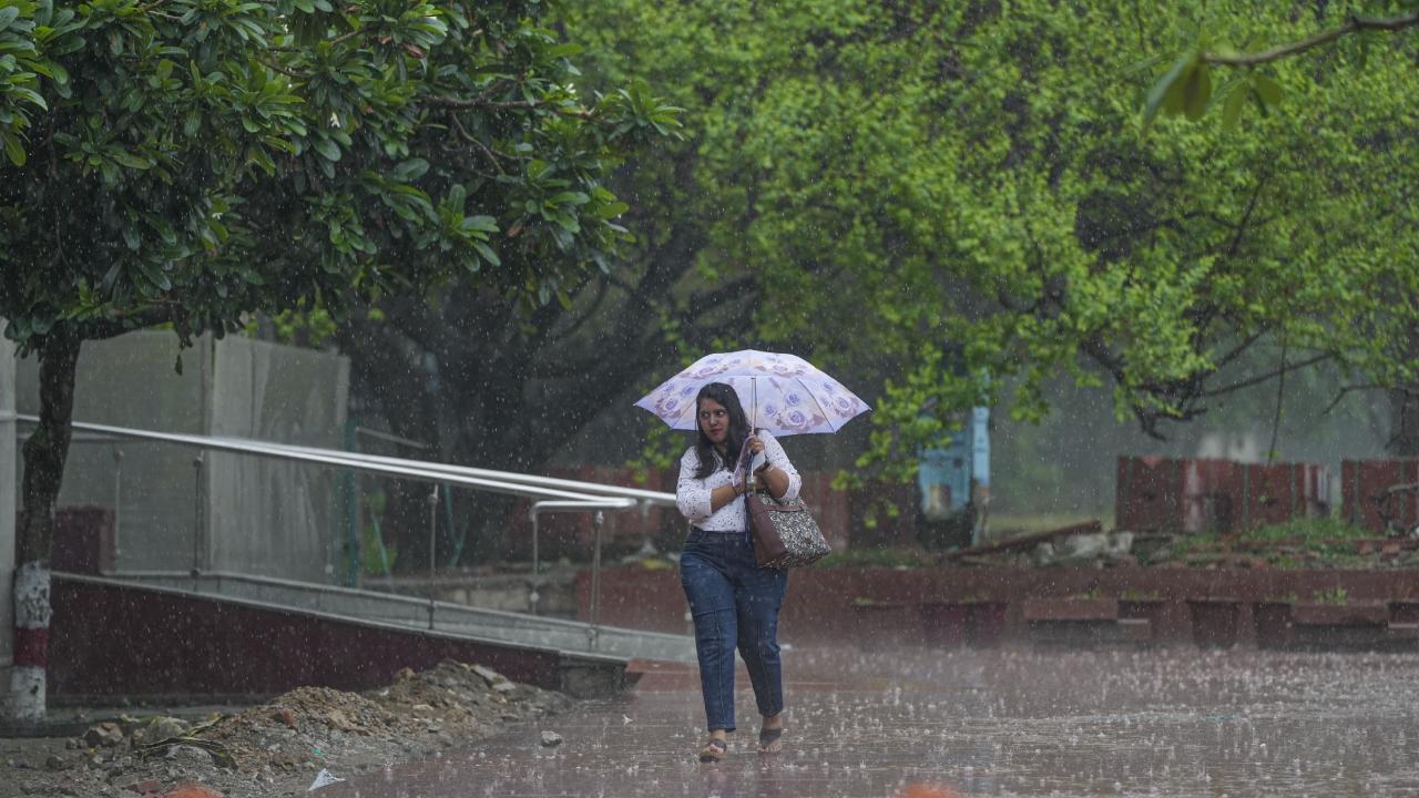The Delhi Public Works Department (PWD) said it received 48 calls regarding waterlogging and five to six regarding falling of trees across the national capital