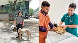 A dog and a cat walk into a hospital