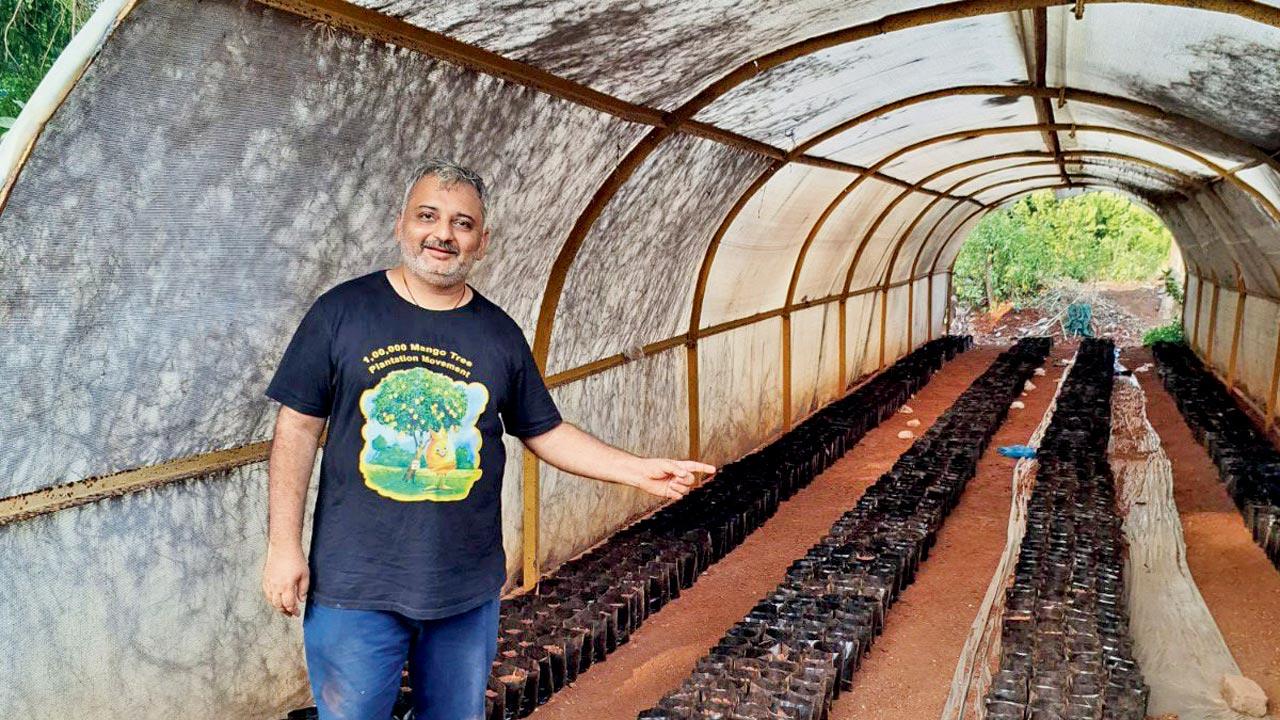 Mukherjee with his saplings