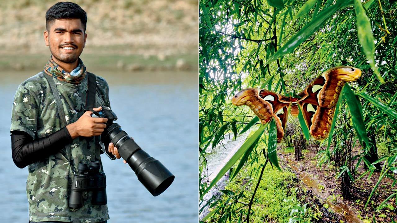 Shubham Hadkar; (right) The Sri Lankan atlas moth