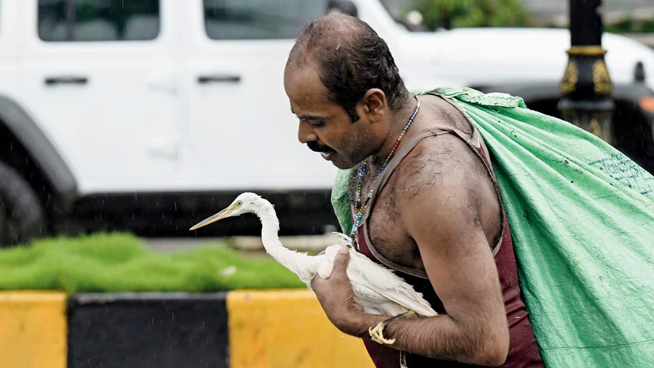 Mumbai Diary: Monday Dossier