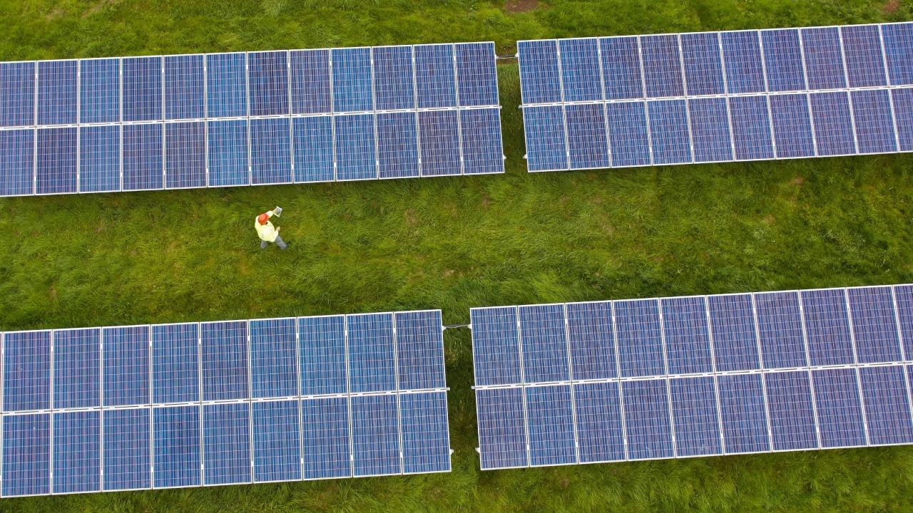 Mumbai: DP World powers Nhava Sheva Terminals with 11MW green energy; cuts CO2 emissions by 50%