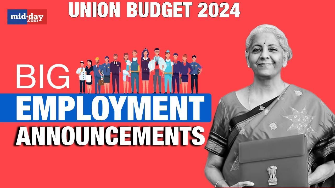 Union Budget 2024: Highlights of top employment initiatives taken by NDA Gov.