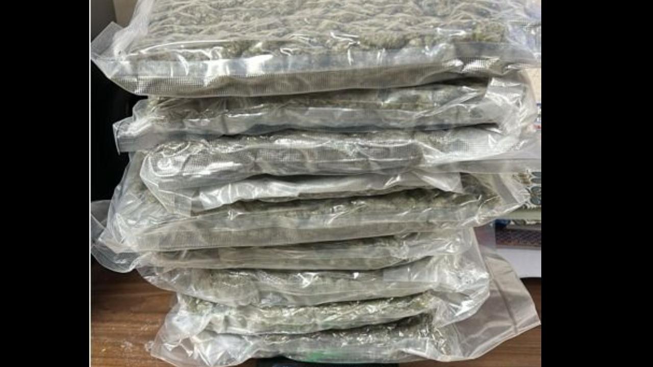 Mumbai: Customs seizes over 4.27 Kg marijuana at CSMIA