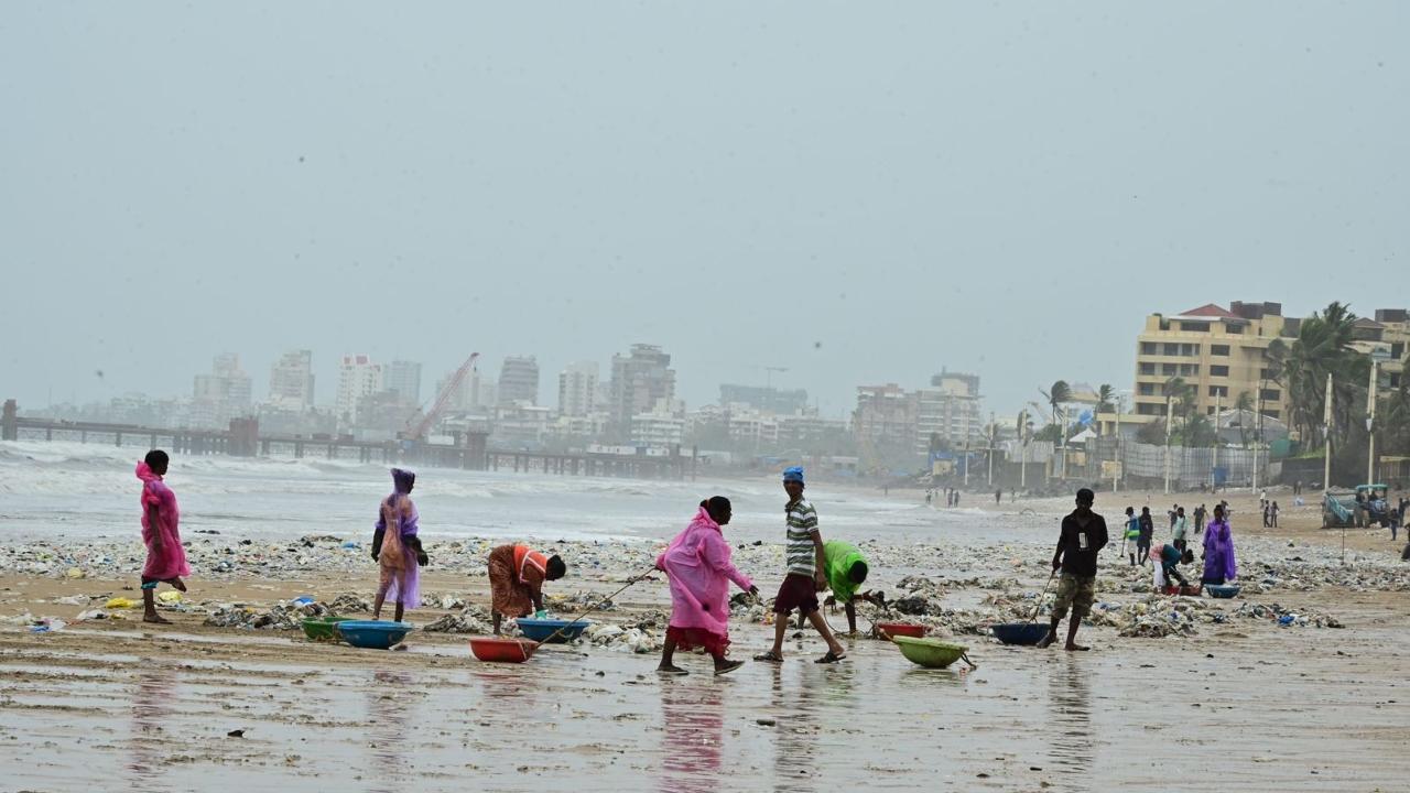 The authorities launched a massive clean up drive and the civic workers were seen sorting and collecting the waste to restore the beach's natural beauty