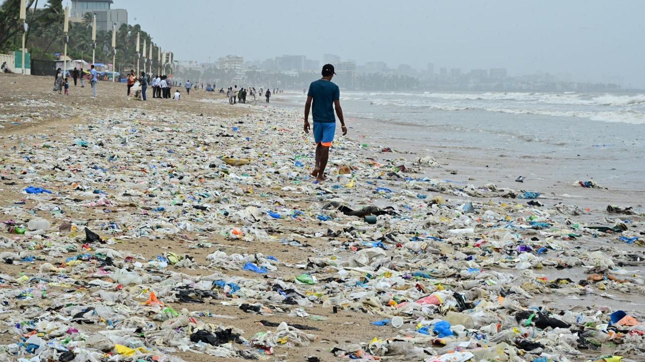 Plastic bottles, food wrappers, and other debris were seen spread across the beach, creating a stark contrast to the usually clean beach