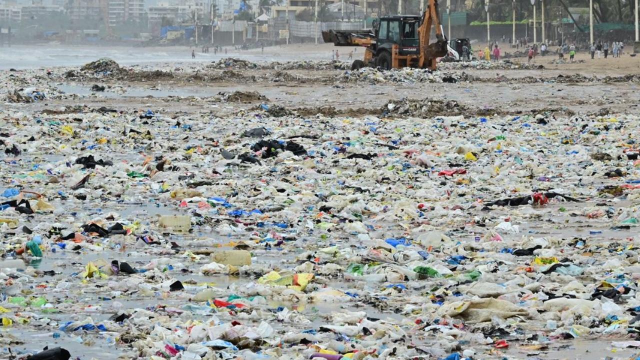 The types of trash that washed ashore included hundreds of single-use plastics and other non-biodegradable materials