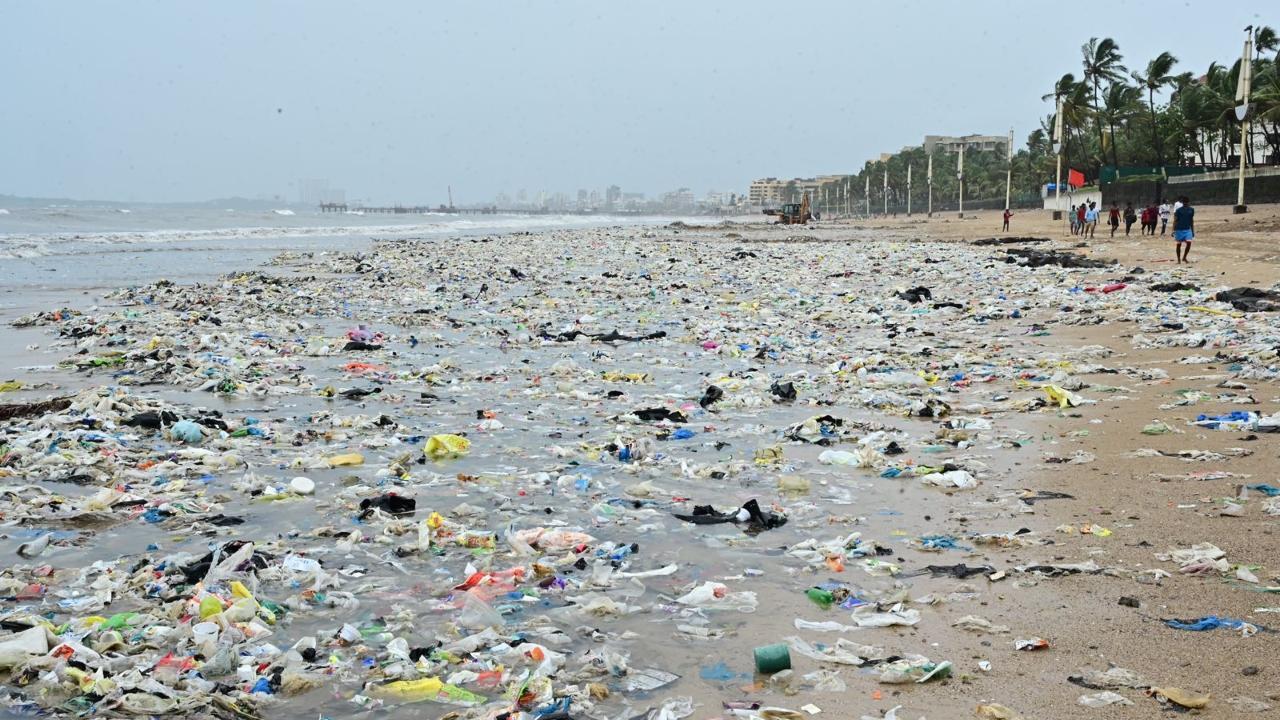 Huge pile of garbage at Juhu beach on Monday. Pics/Shadab Khan