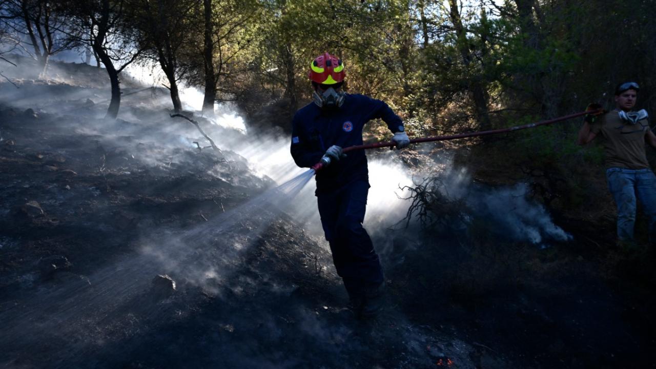 Firefighters worked over the weekend to get the fires under control.