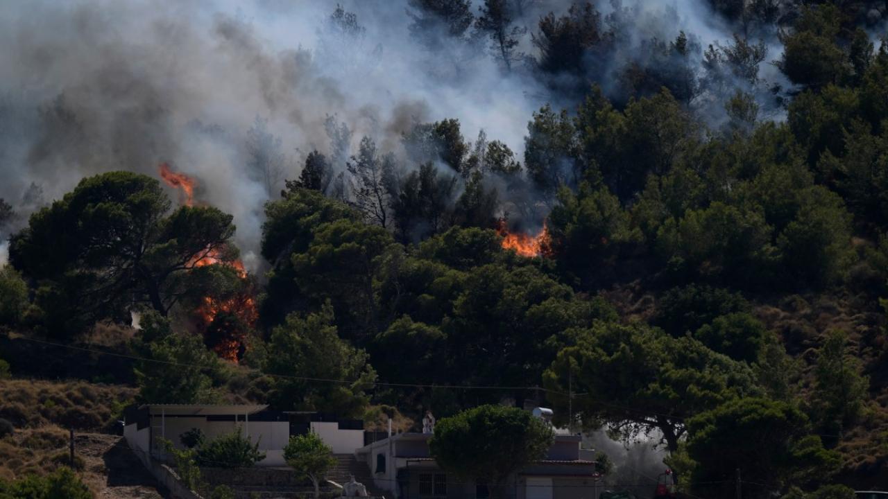 A new forest fire broke out in the Keratea region, some twenty kilometers south of the Greek capital on June 30, 2024. On the previous day, a major fire in the same area was brought under control, 