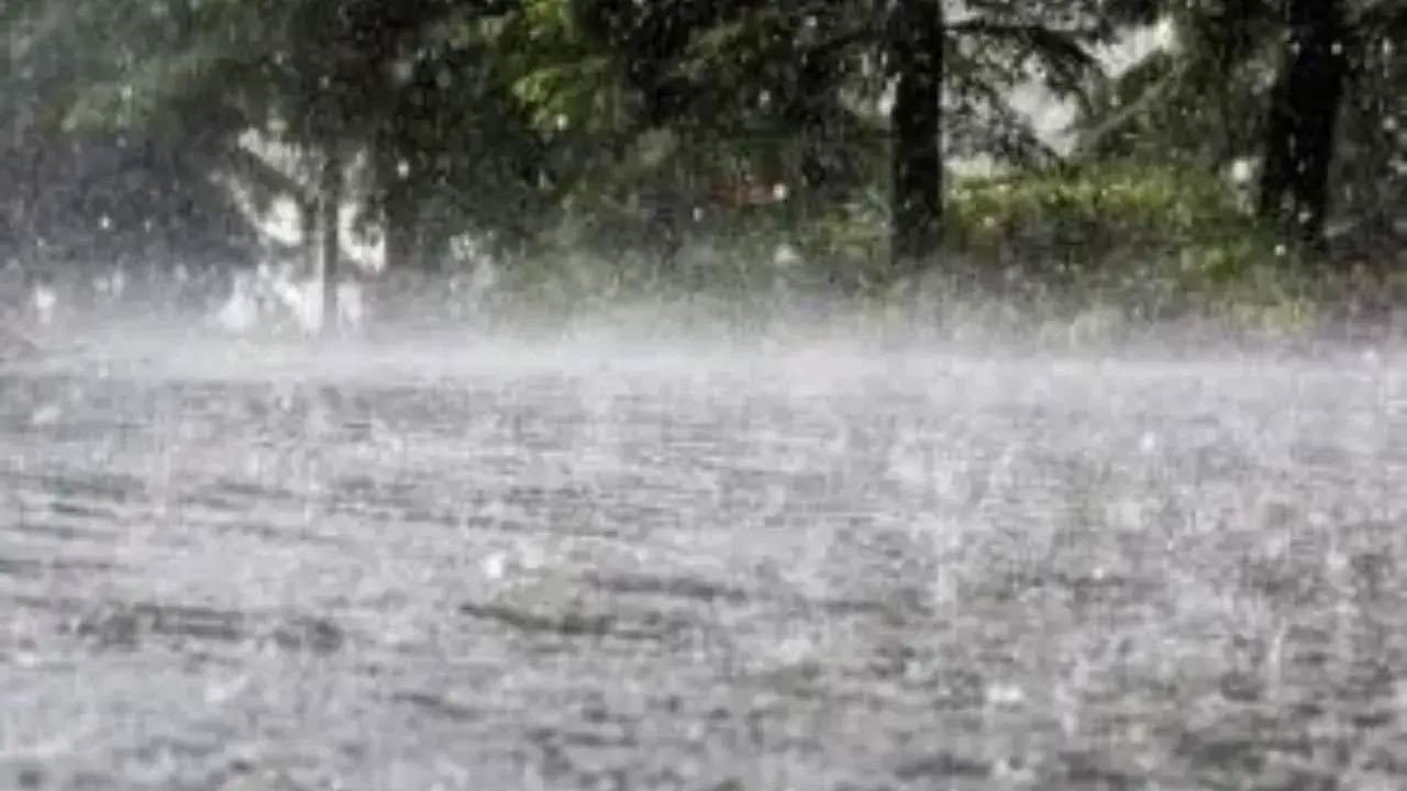 Uttarakhand: Schools, anganwadis in Kumaon to remain shut after heavy rain forecast