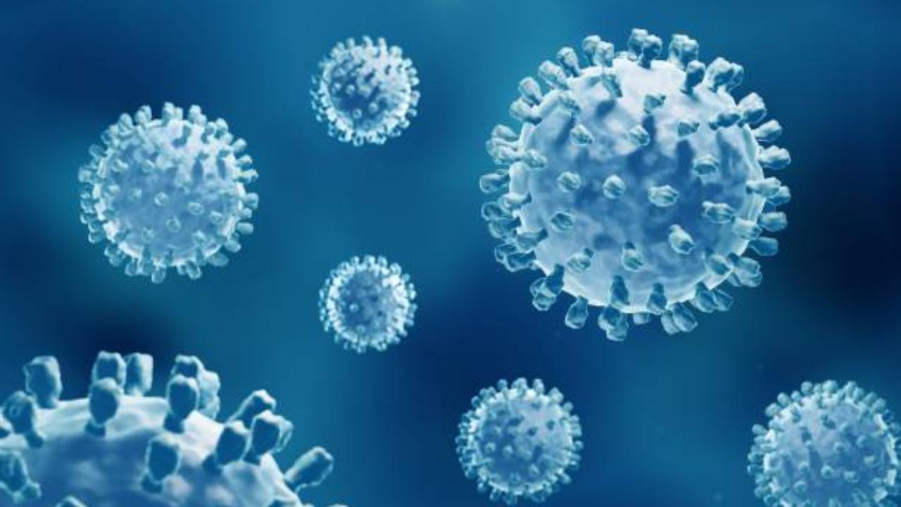 World Health Organisation prequalifies first self-test for hepatitis C virus