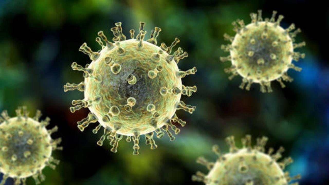 How symptomless herpes virus can harm newborns, organ transplant & HIV patients