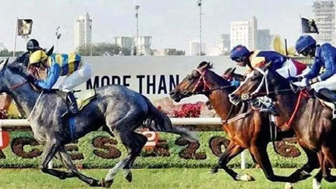 Royal Mysore trounces rivals; Trainers Adhirajsingh & Todywalla score trebles