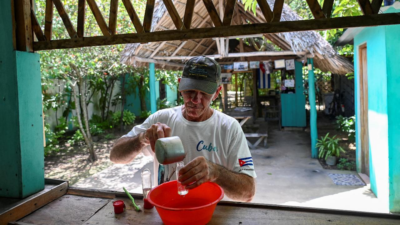 Bernabe Hernández prepares a mixture of water and sugar to feed Zunzuncito hummingbirds 
Guides from the Cienaga de Zapata National Park aided Hernandez and his wife Juana Matos with the precise mixture of water and sugar contained in the feeders. The two have become experts in the behavior of the bird, pointing out the iridescent red head of a male bee hummingbird, who looks like he is wearing a glittery mask -- but only during the mating season.