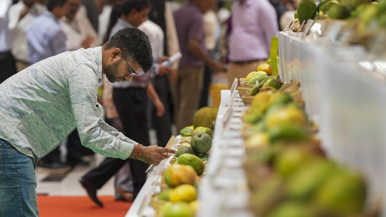 The minister highlighted the importance of creating 'model farms' of one hectare to demonstrate crop diversification, given that the majority of farmers own small and marginal landholdings.