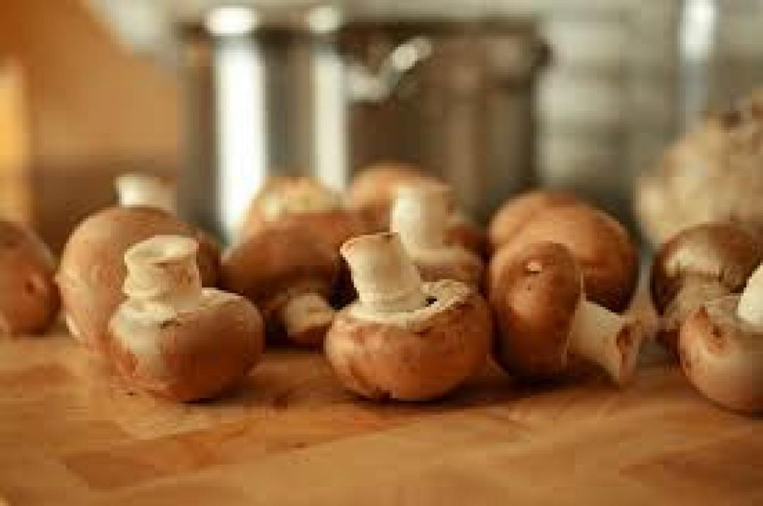 13 school kids fall sick after eating mushrooms cooked at ICDS centre in Bengal