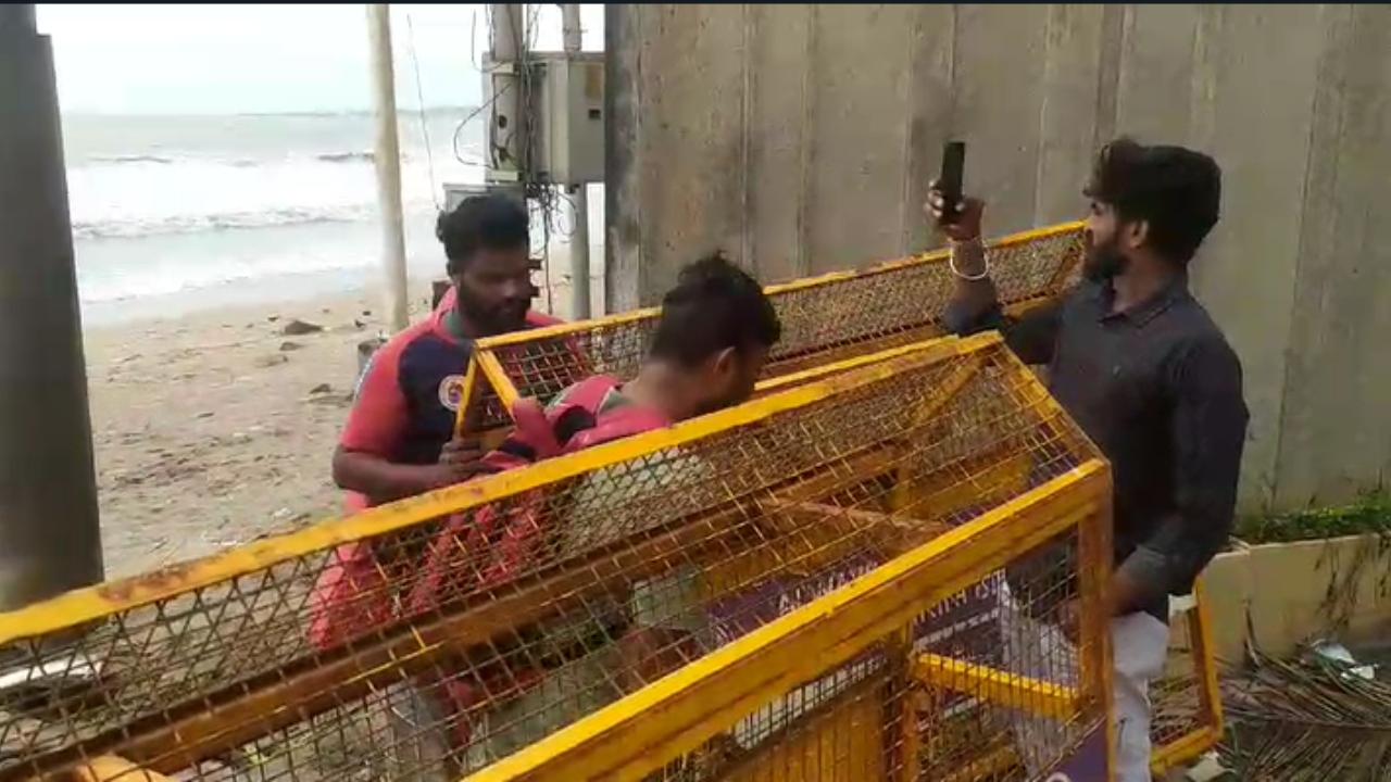 The Harbour Line track, on which services were suspended on Monday night between the Chhatrapati Shivaji Maharaj Terminus and Mankhurd due to waterlogging at Wadala, was operationalised at 4.30 am on Tuesday after the water receded, a Central Railway spokesperson said