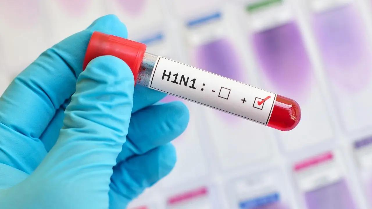 Mumbai sees rise in H1N1 flu cases, says BMC