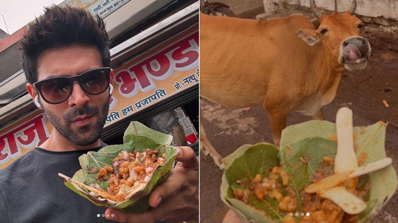 Kartik Aaryan's chaat escapade amidst 'Bhool Bhulaiyaa 3' shoot goes viral
