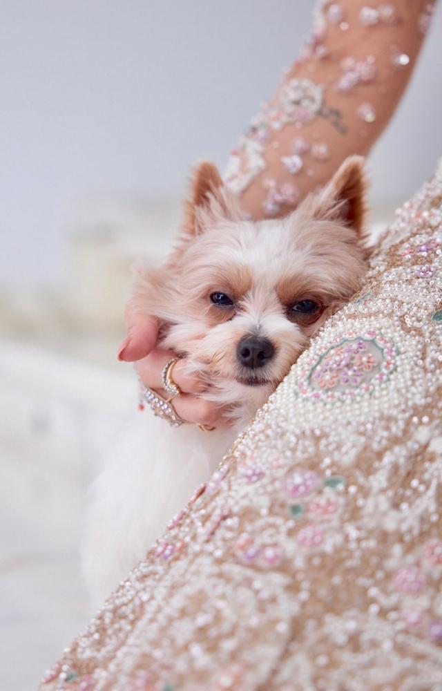 She also posted her tiny pup! How sweet!