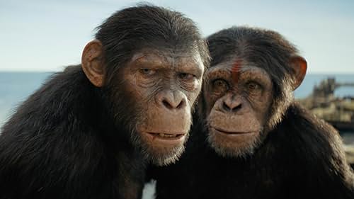 Humans, however, have regressed into a feral state. The plot follows Noa, a young chimpanzee (Owen Teague), who alongside his companions, Soona (Lydia Peckham) and Anaya (Travis Jeffery), faces a harrowing test involving an eagle egg, only to find his village destroyed by a rival clan led by the tyrannical Proximus Caesar (Kevin Durand). 