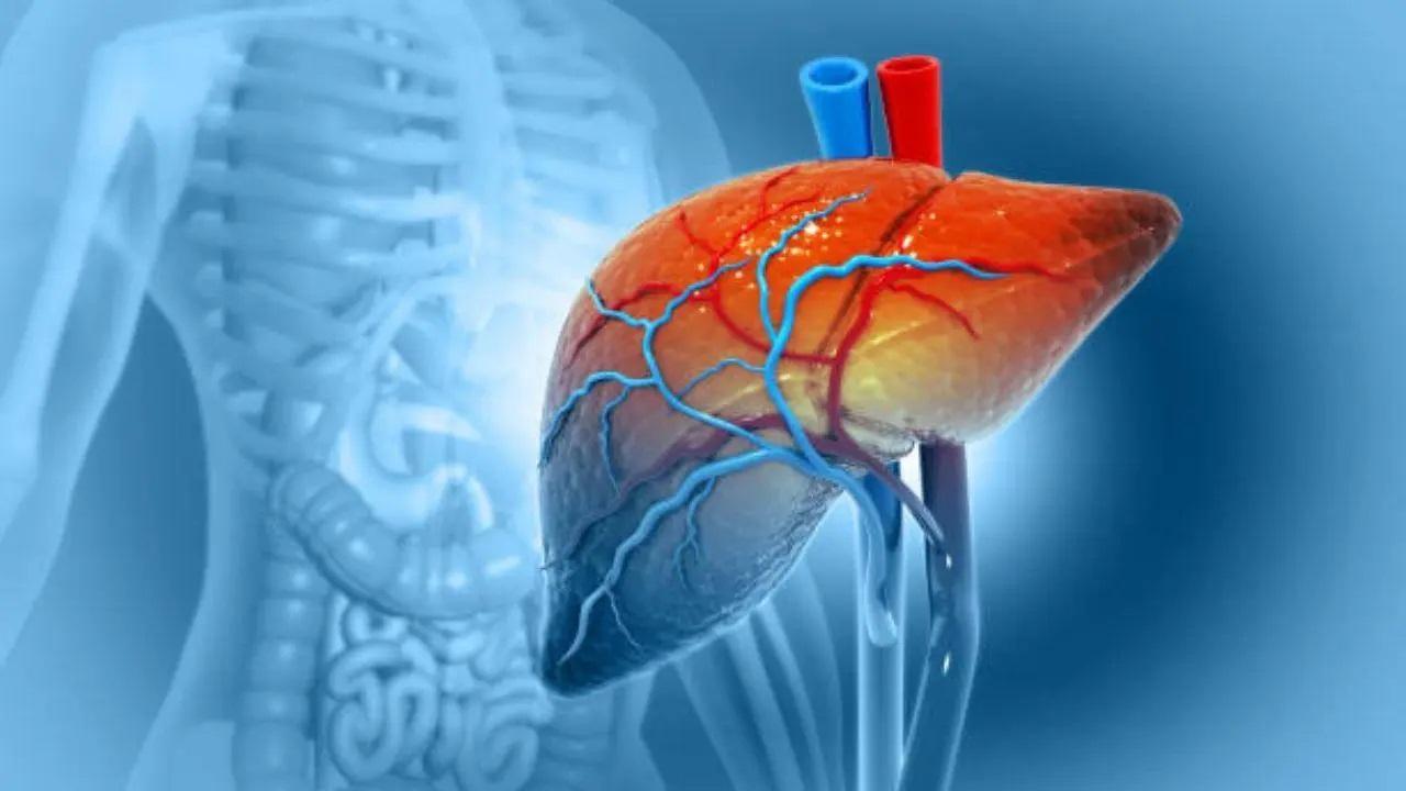 Urgent need to fight hepatitis, curb liver cancer deaths in Southeast Asia: WHO