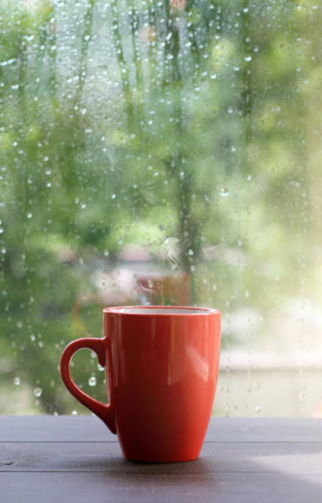Desi monsoon snacks to pair with chai