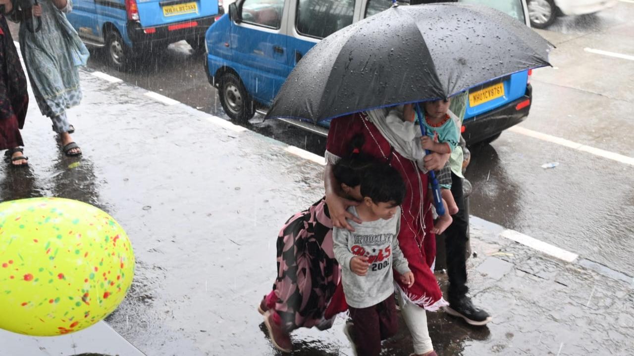 Maharashtra rains: Satara records 59.7 mm rainfall, Mumbai witnesses moderate showers