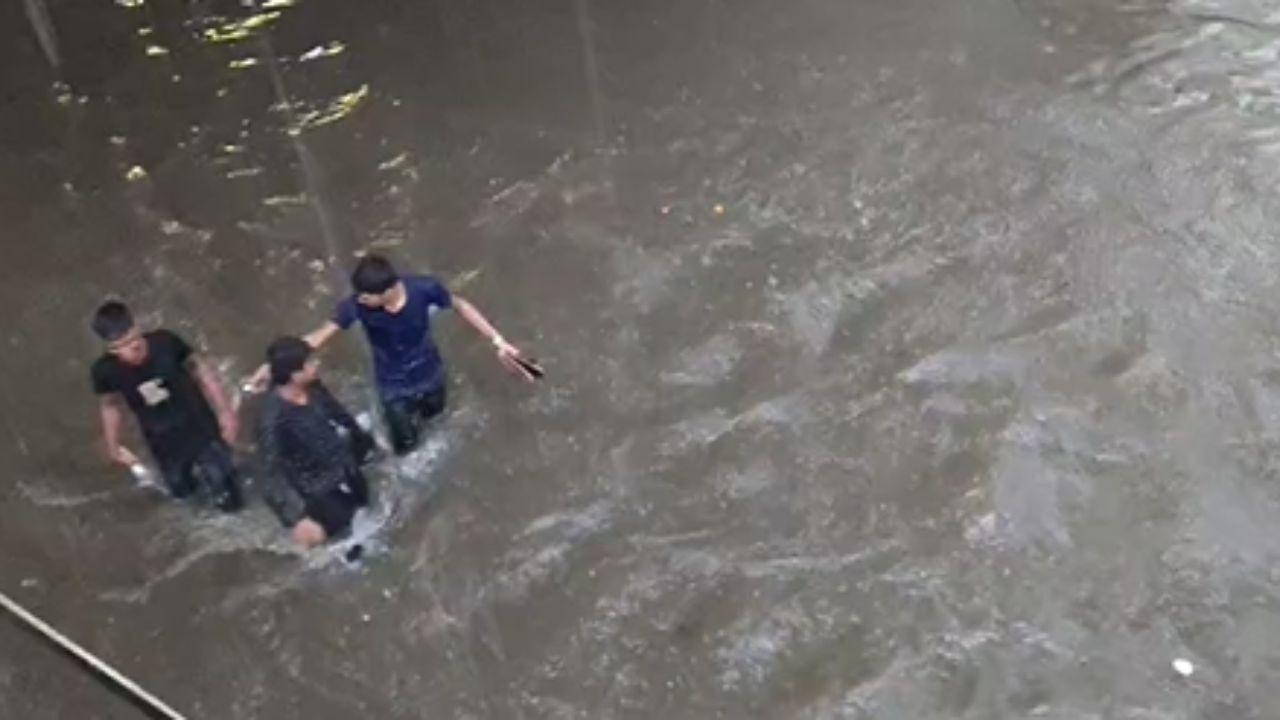 The Central Railway mentioned that train traffic on both suburban and Harbour Line trains was delayed due to waterlogging. 