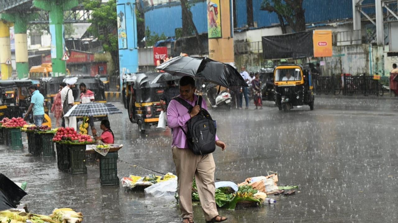 The bulletin stated that the Santacruz Observatory recorded a maximum temperature of 31.3 degree Celsius and a minimum temperature of 26.0 degree Celsius was reported on Tuesday