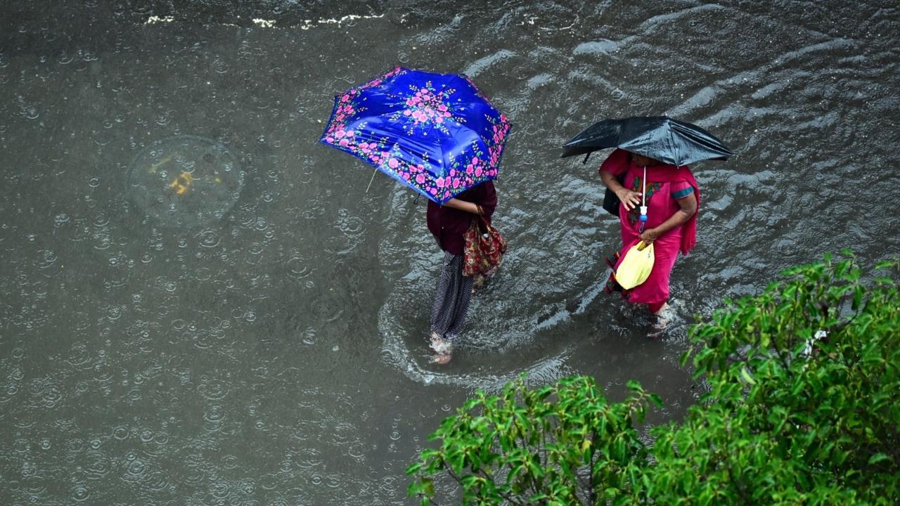 Maharashtra rains: Group of picnickers rescued from hill in rain-soaked Navi Mumbai