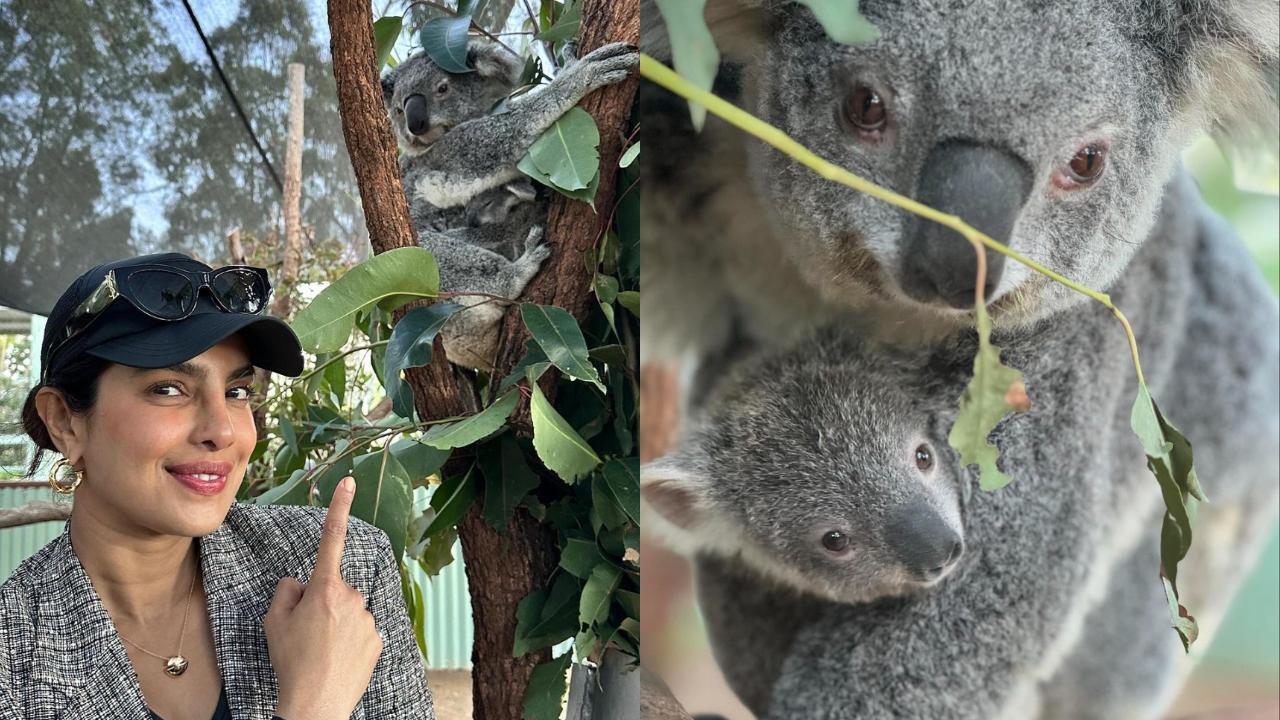 Priyanka Chopra poses alongside a Koala named after her at an Australian homestead