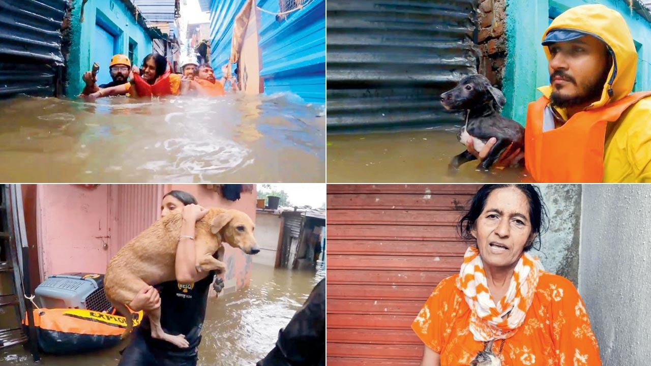 Maharashtra: Woman and 15 pets saved from flooded home in Pune