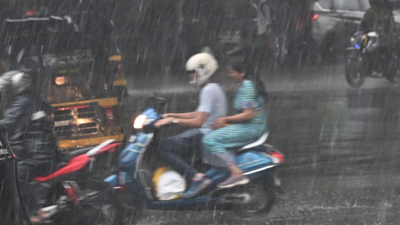 Further, the IMD said, Mumbai, Thane, and Palghar would experience moderate rainfall until July 10, issuing a green alert
