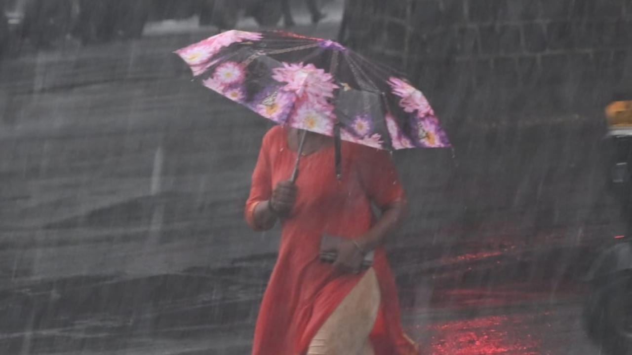 Brihanmumbai Municipal Corporation in their Mumbai weather update stated that the city's coast will be hit by a high tide at 12.41 pm and at 00.25 am on July 7 and the tides will be as high as 4.48 meters and  3.81 meters respectively. The civic body further added that a low tide of about 1.75 meters would hit the city's coast at 6.49 pm