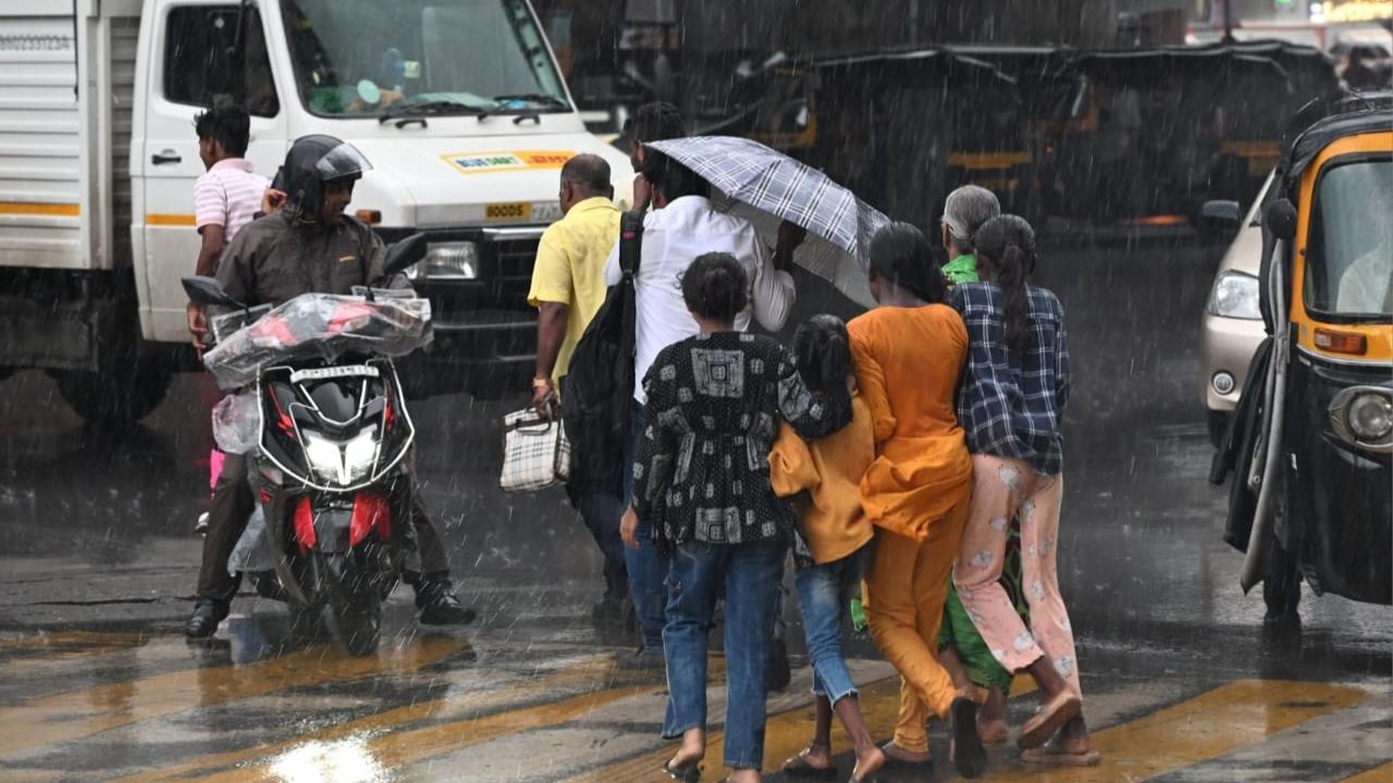 The Colaba observatory recorded a maximum temperature of 31.5 degrees Celsius while the minimum was recorded at 26.5 degrees Celsius
