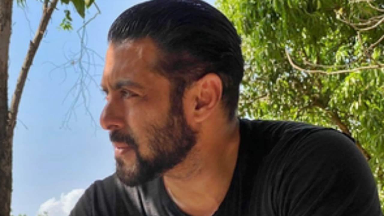 Salman Khan flaunts new hairdo in brand new pic on Instagram