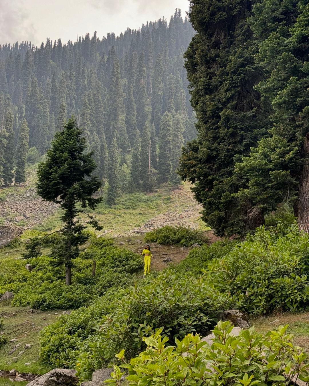 Other photos show her standing by a forest, enjoying the natural scenery.