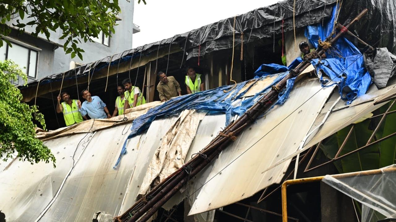 According to them, Kaveri Nakhwa was dragged for around 1.5 km by the speeding car before Mihir pulled it over, swapped the seat with his driver, and fled in another vehicle