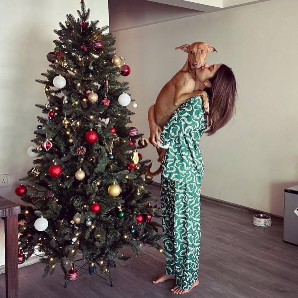 Jennifer Winget also loves pets and has one of her own. She has a dog named Ollie, whom she loves dearly