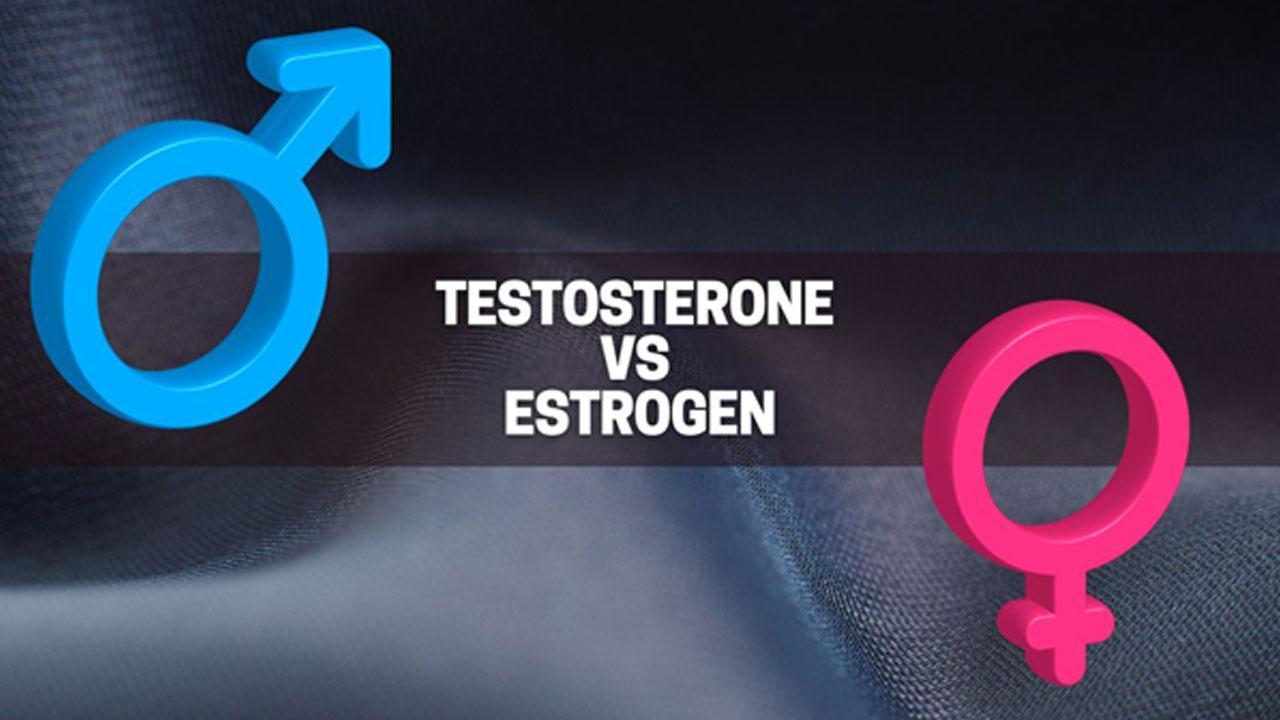 Estrogen Vs Testosterone: What's Best for You? - (Effects and Benefits)